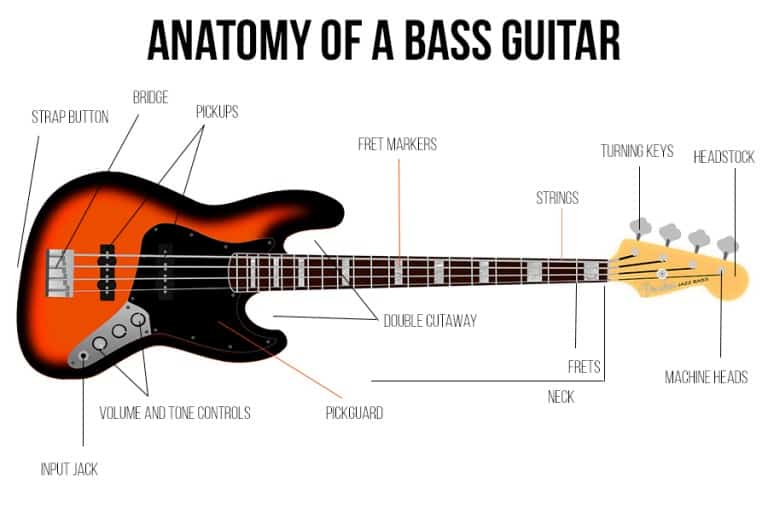 Best Beginner Bass Guitar Beginner Guitar HQ