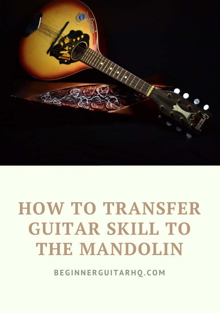 Mandolin vs Guitar How to Transfer Guitar Skill To The Mandolin