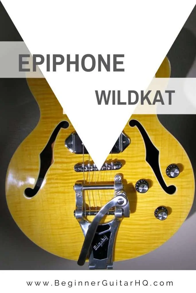 0 epiphone wildkat review