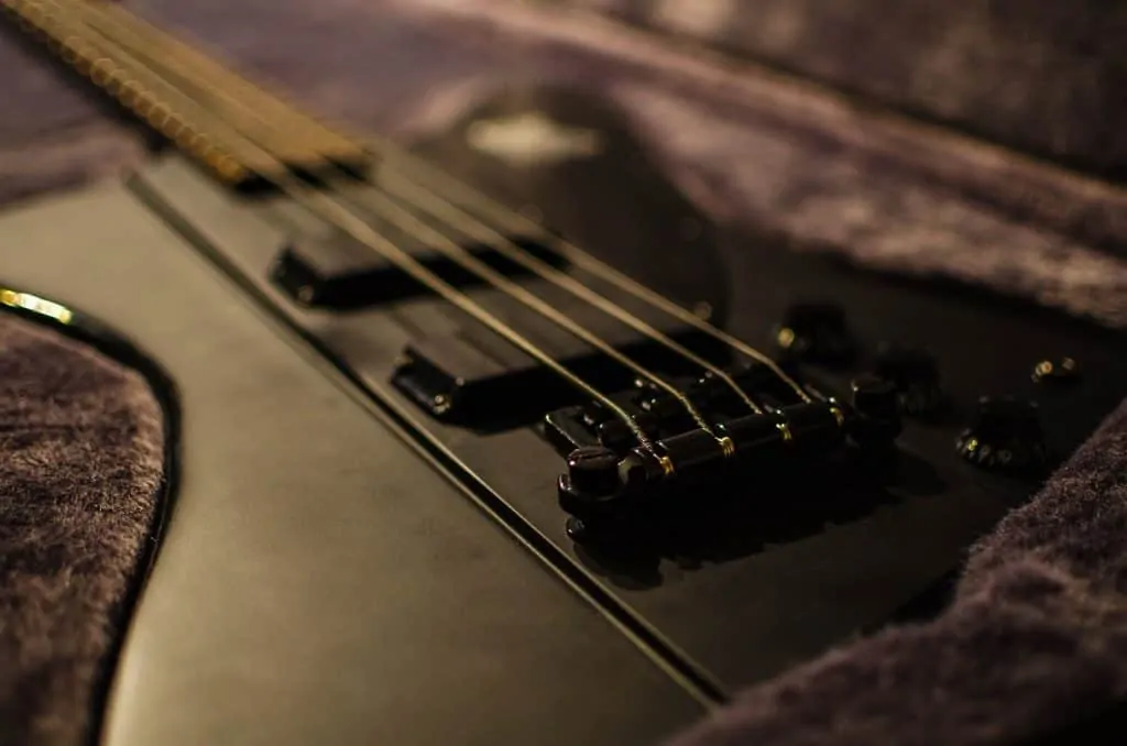 10 best 5 strings bass models