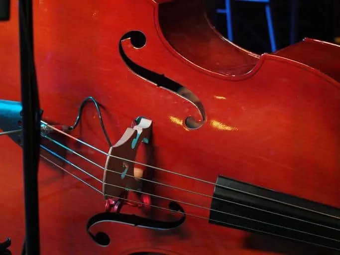 6 budget violin bass