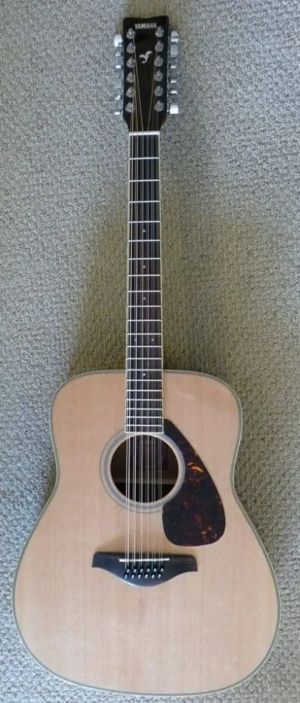 12 string acoustic