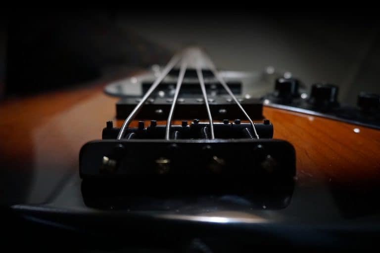 12 Best Jazz Bass Pickups Beginner Guitar HQ