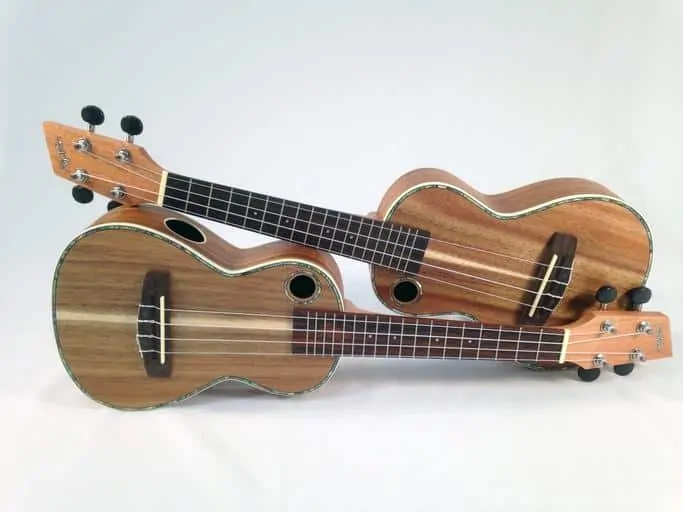 4 best ukuleles guide