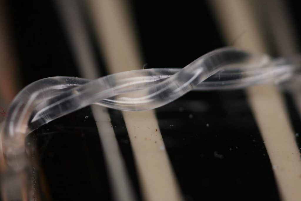 Best Classical Guitar Strings Beginner Guitar HQ