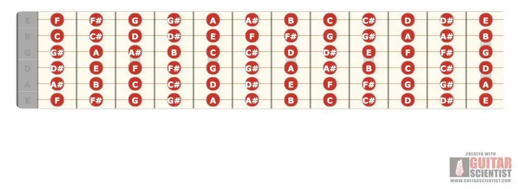 2. Fretboard