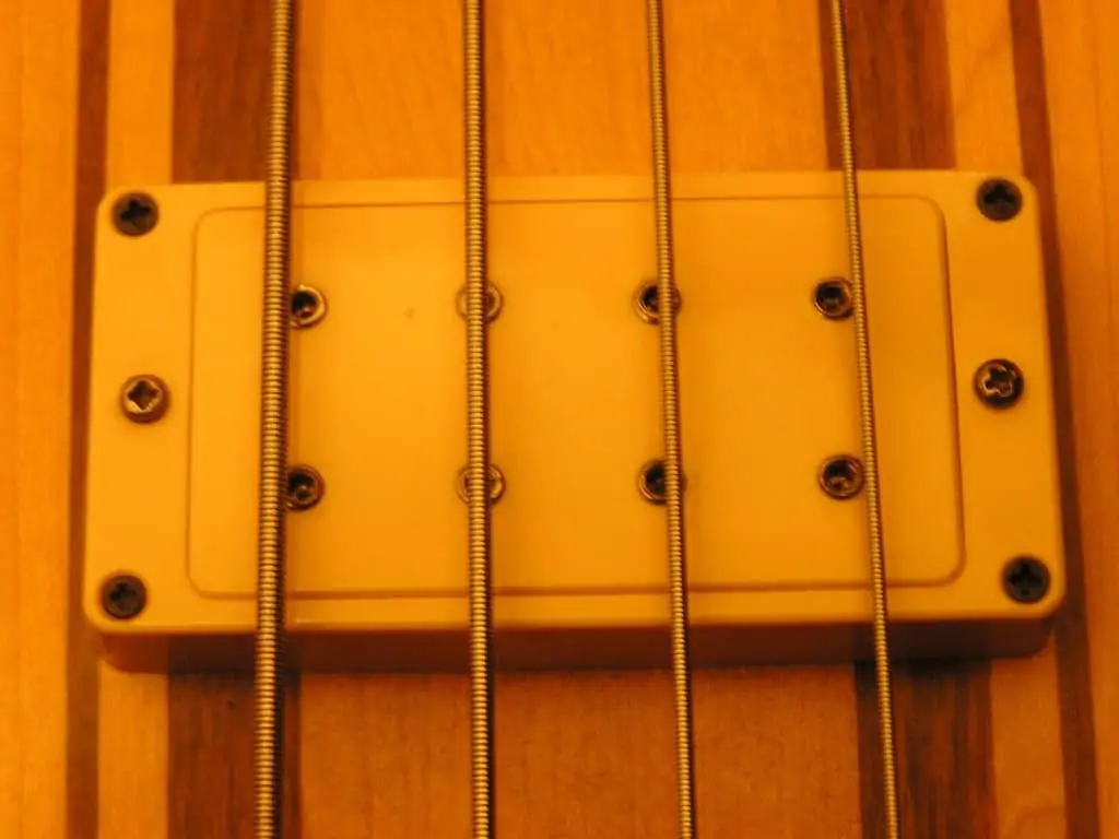 5 bass ukulele review and guide
