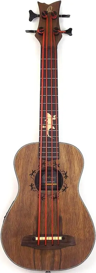 6 best bass ukulele reviews