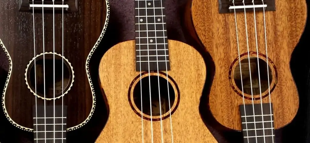 1 ou5 ukulele