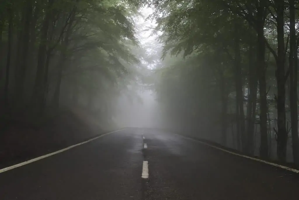 1. Foggy road