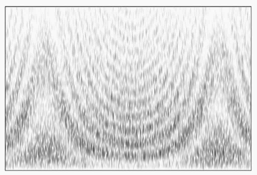 6. Flanger Spectrogram