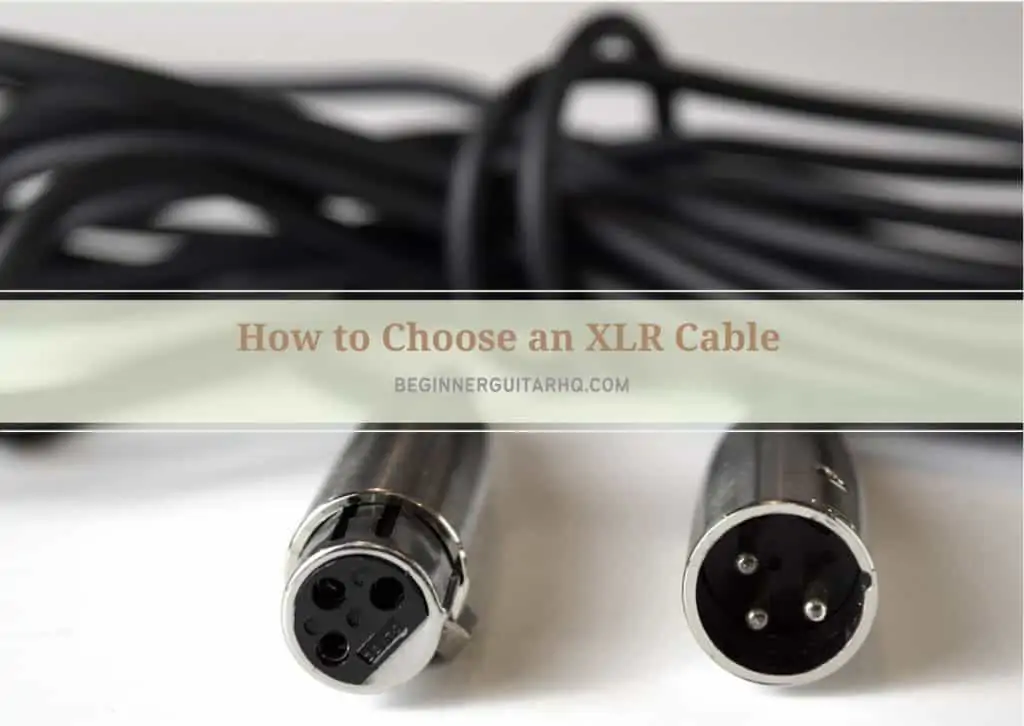 Buying Cheap XLR Cables? Here are 10 Ways to Make Sure You Aren't