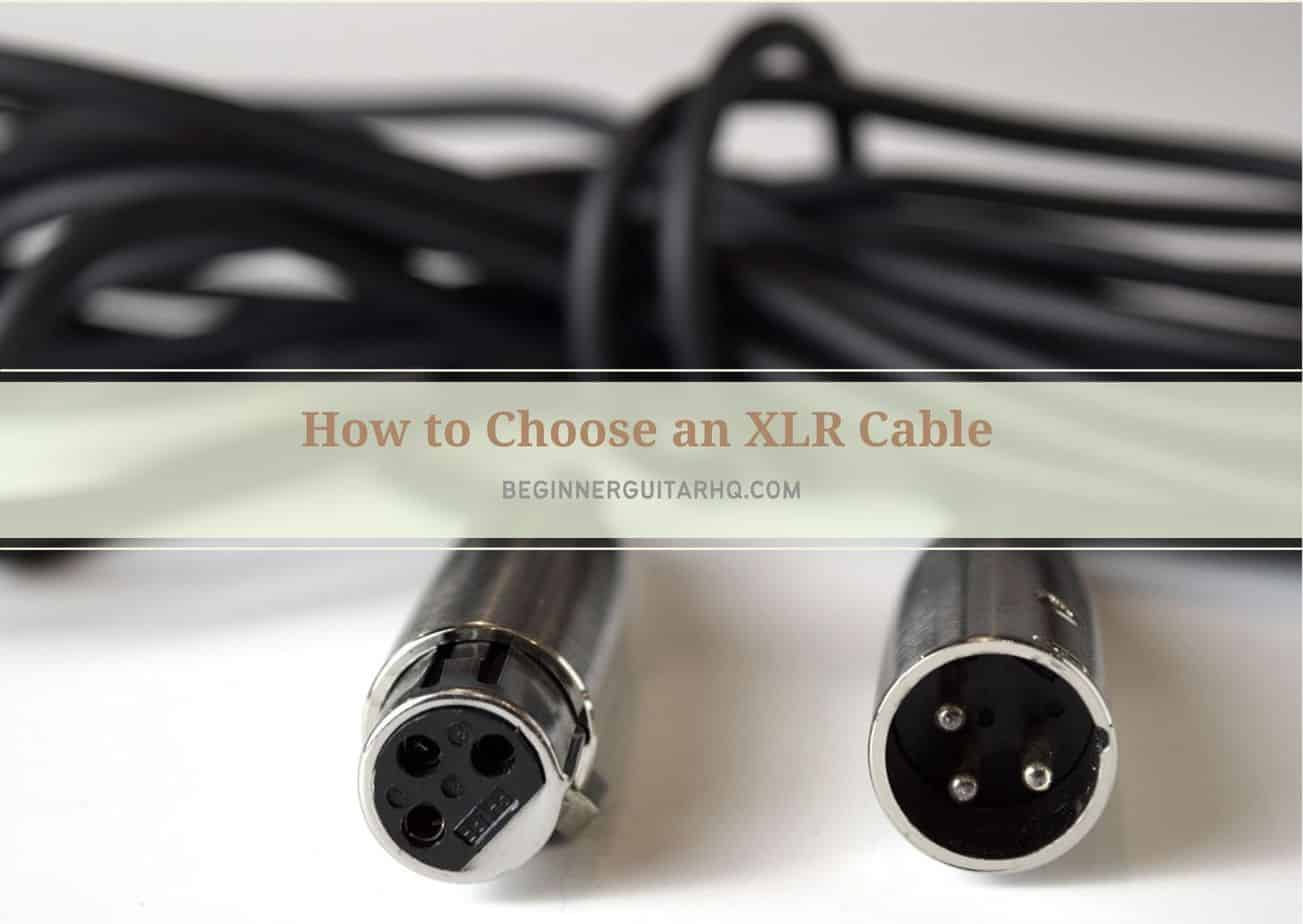 How to Choose an XLR Cable Beginner Guitar HQ