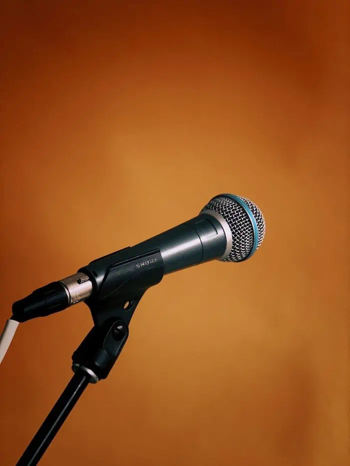 10. Microphone