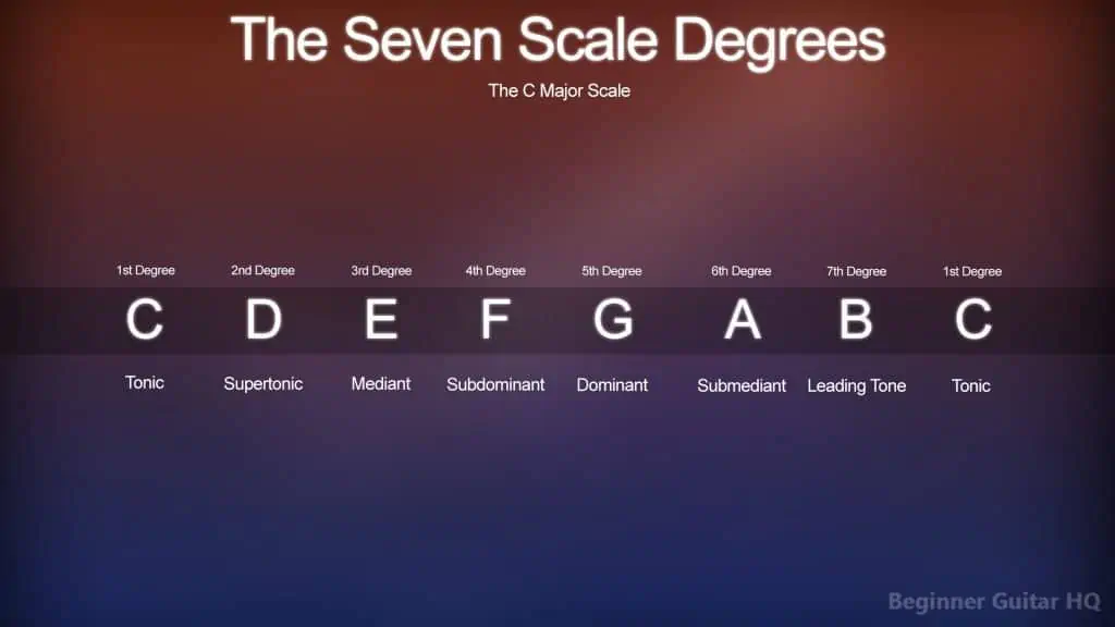 3. Diagram of Scale Degrees used in C Major Scale
