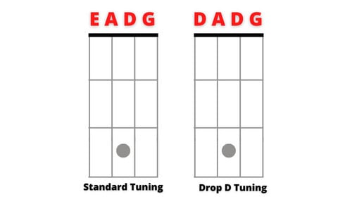 2. drop d tuning on bass guitar
