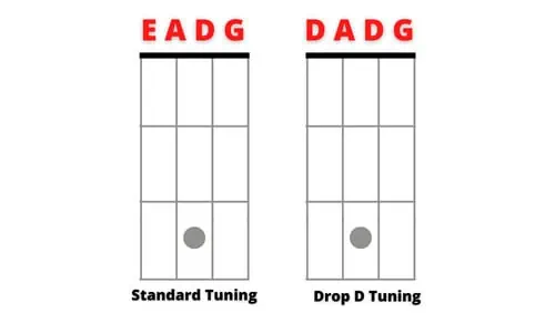 2. drop d tuning on bass guitar